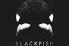blackfish