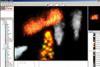 particle_illusion.jpg