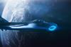 BM706_UnionVFX_002
