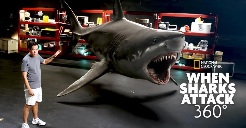 Watch When Sharks Attack and Why Streaming Online
