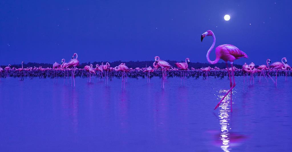 Best independent production company Talkback Features Broadcast