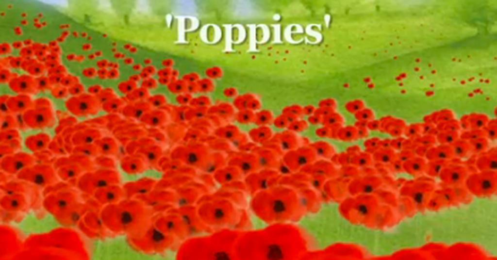 Cbeebies Poppy Animation VIDEO: Poppies, CBeebies | Video | Broadcast