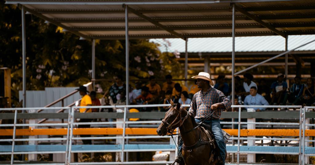 Starz extends fully-owned drama push with Black rodeo series | News ...