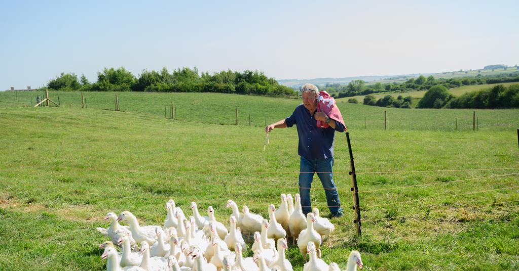 broadcastnow.co.uk - John Elmes - Clarkson's Farm release pattern confirmed