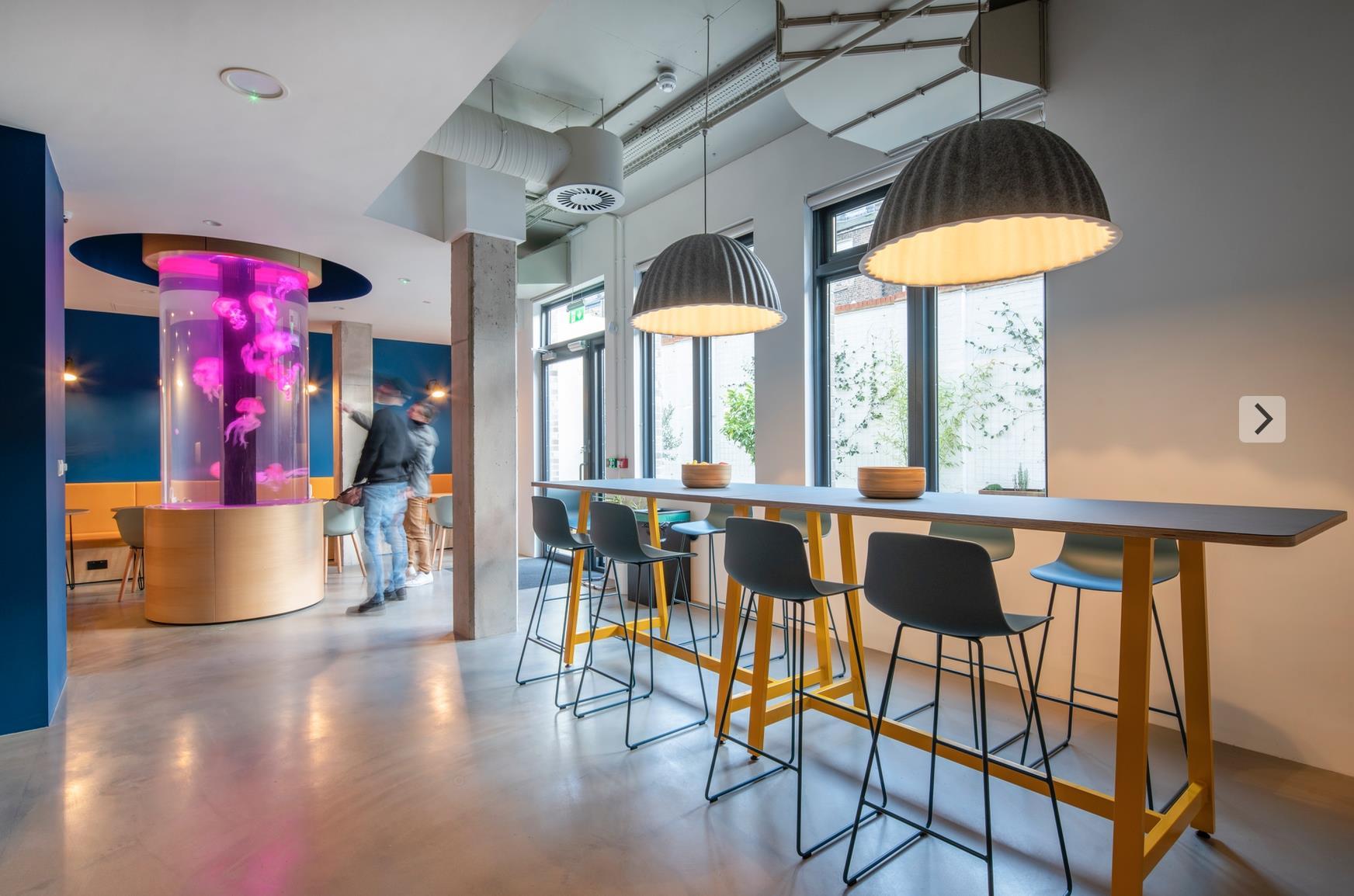 студия новый цвет