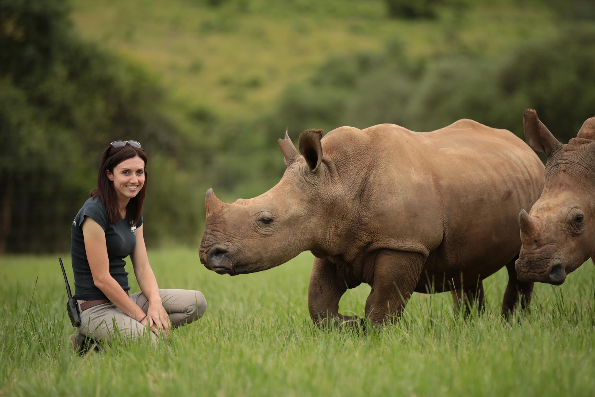 Work on the Wild Side, Channel 4 | Behind The Scenes | Broadcast