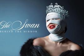 The Swan Behind the Mirror