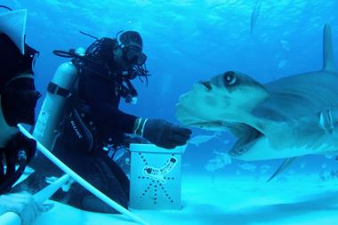 All_the_Sharks_n_S1_E6_00_41_31_19_R