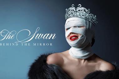 The Swan Behind the Mirror