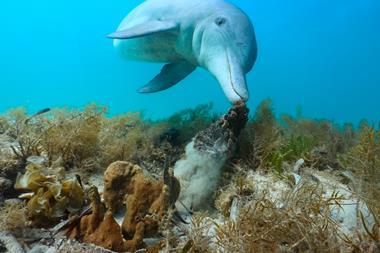 Blue Planet III