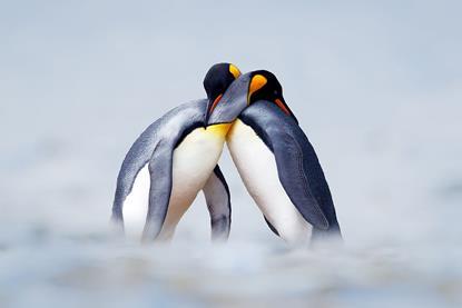 love naturally