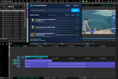 PSE-Panel-Inside-Media-Composer