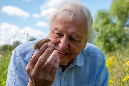 David Attenborough with a harvest mouse