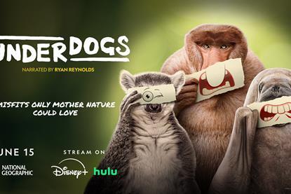 UNDERDOGS_3840x2160_72DPI_1_-831cc4