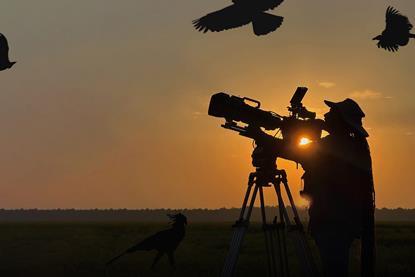 Hamza’s African Birds of Prey
