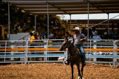 Rodeo