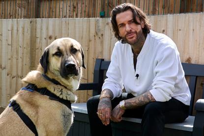 Pete Wicks for Dogs Sake s2