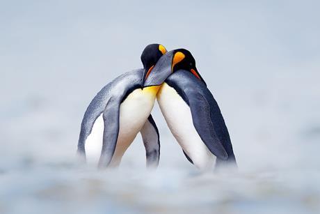 love naturally