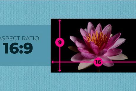 aspect-ratio-part-1-02