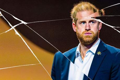 Prince Harry My Terrible Year