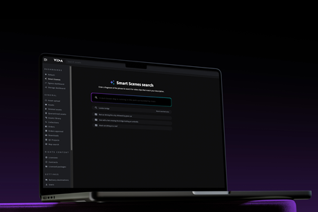 Vida AI Scene Search
