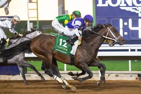 Saudi Cup horse racing HBA Media