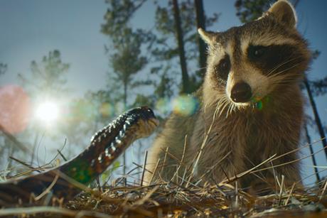 Nightmares_of_Nature_n_S1_E1_00_10_04_17 (2)