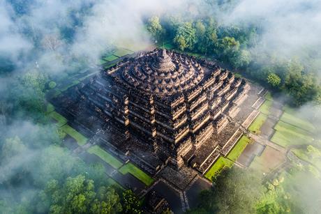 EngineeringFromAbove_Blue Ant Rights