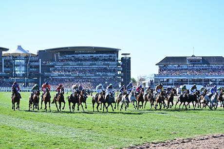 Grand National Aintree RMG