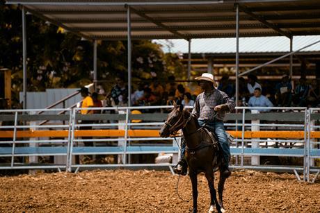 Rodeo