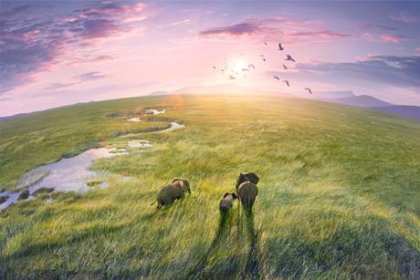 planet earth iii