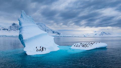 102_SecretsOfThePenguins_MM10111_240301_15683 (1)