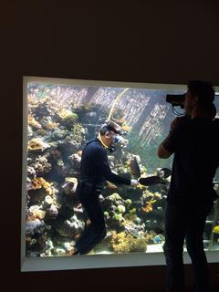 3 D Jamie Hammick shooting one of the largest domestic aquariums in the world