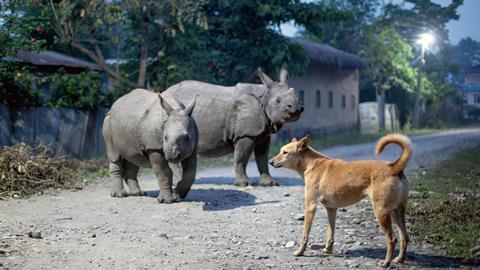 planet earth iii pic