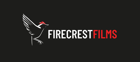 Firecrest_Hero_Image-d04d23