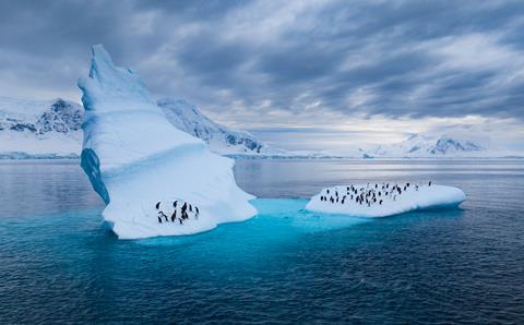 102_SecretsOfThePenguins_MM10111_240301_15683 (1)