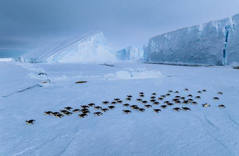 101_SecretsOfThePenguins_MM10111_231229_12998