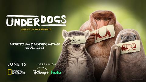 UNDERDOGS_3840x2160_72DPI_1_-831cc4