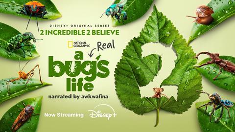 A-REAL-BUGS-LIFE-S2_3840X2160_NowStreaming-25feac
