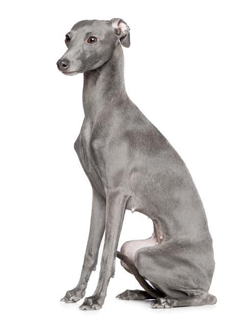 AdobeStock_251406130