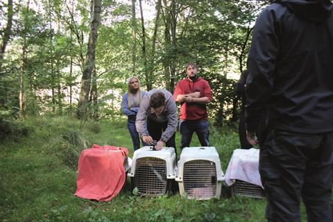 Born to be Wild Scottish SPCA staff releasing pine martens