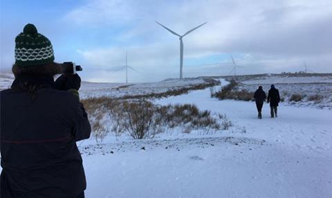 Whitelee wind farm