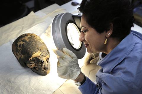 Salima Ikram examines mummy head