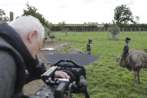 14881504 high the real t.rex with chris packham