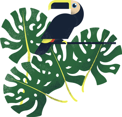 Mining_assets_(Toucan_and_leaves)[1]