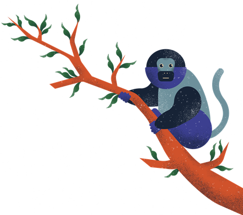 Mountain assets (Langur and tree)