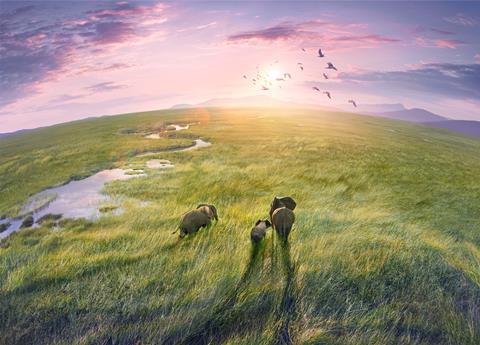 planet earth iii