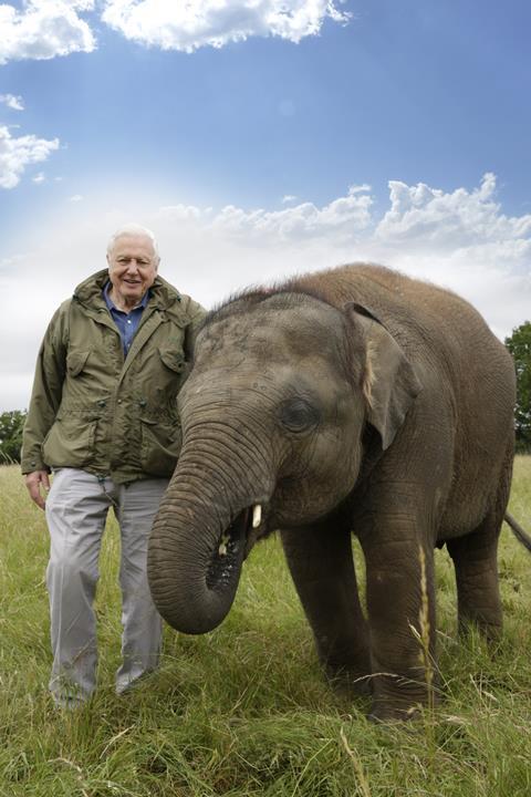 Tvf international jumbo 2 david attenborough with young asian elephant photo by ashwika kapur copyright humble bee films