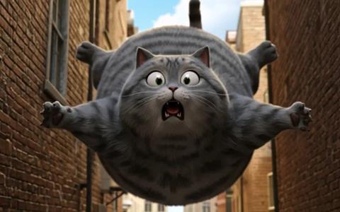 Cat Biggie CJ ENM