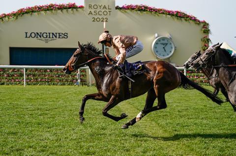 Ascot Racecourse Little Dot Sport